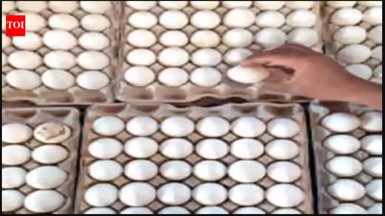 Egg prices hit historic high in Namakkal