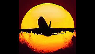 AI Delhi-Raipur flight hit by bird during landing, return flight delayed by 3 hrs