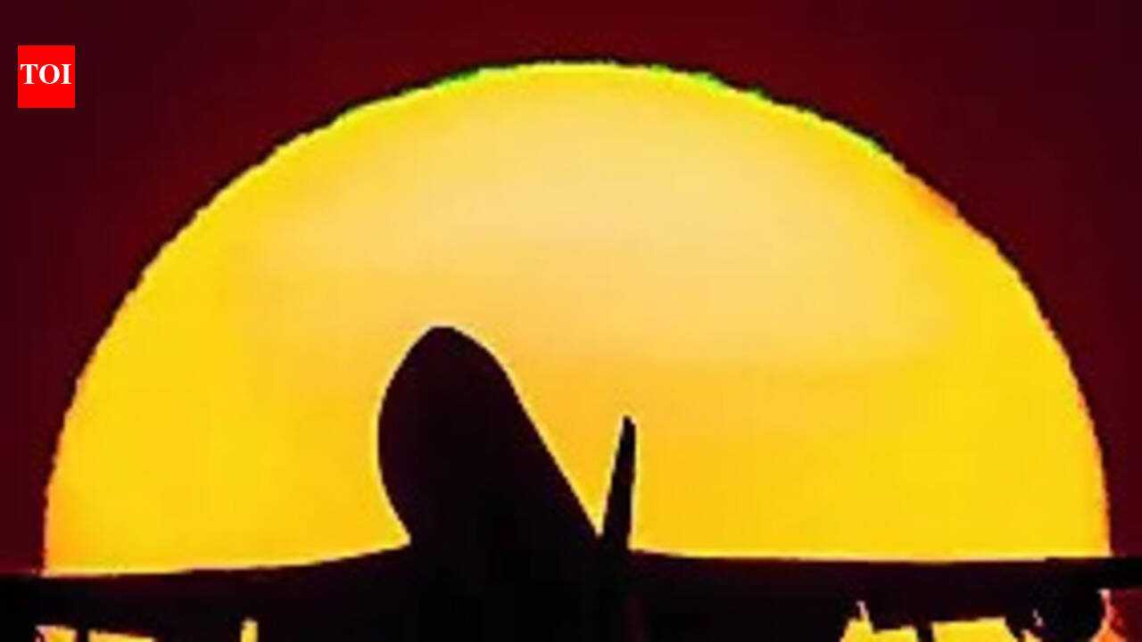 AI Delhi-Raipur flight hit by bird during landing, return flight delayed by 3 hrs