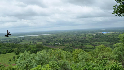 Telangana takes lead in India's land restoration efforts, country on track to achieve its 2030 global commitment