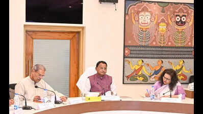 Lab diamond to rare earth: 20 projects worth Rs 76k-cr cleared