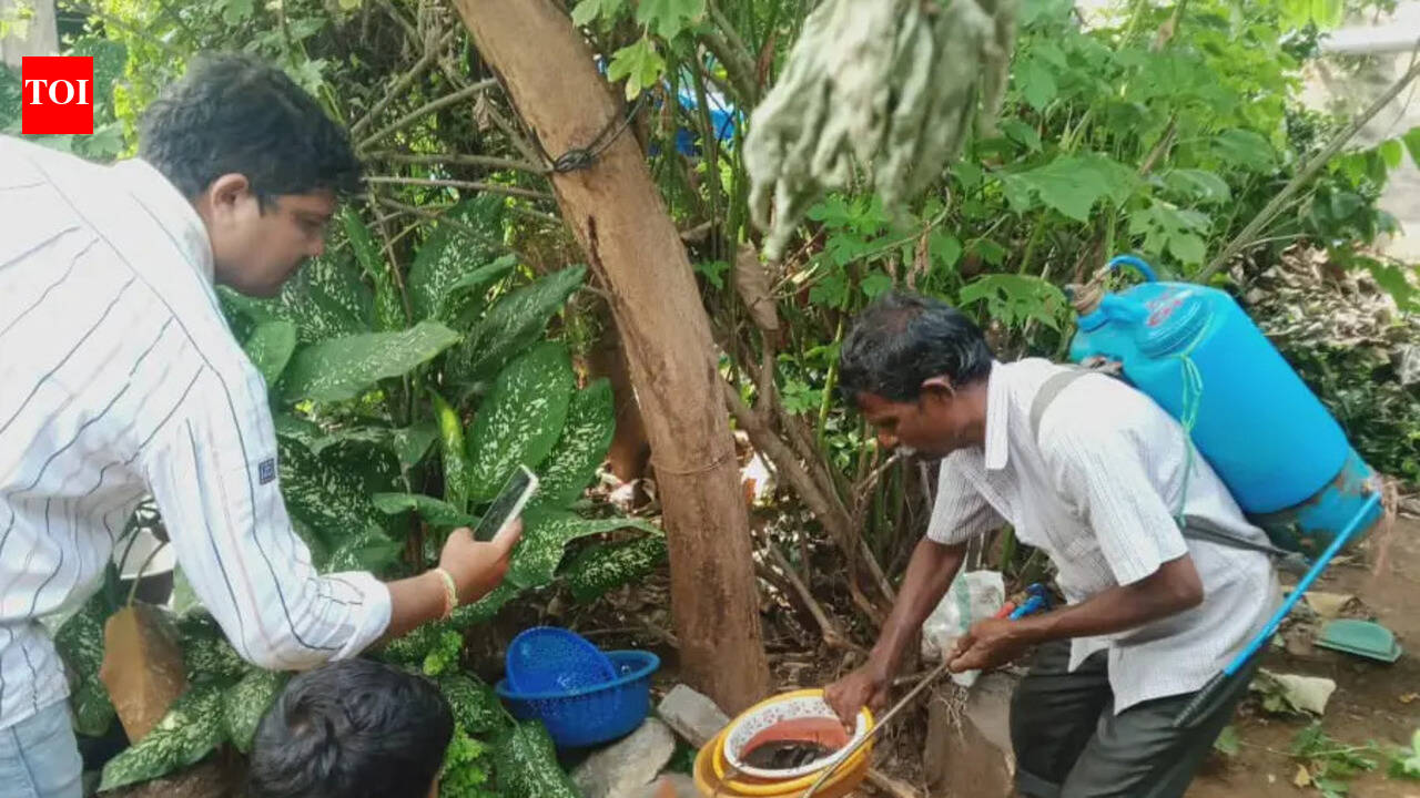 Steady fall in dengue cases in 3 yrs hints at better TPR in 2026: Experts