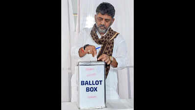 Voting for seven Council seats today; stiff battle for final berth