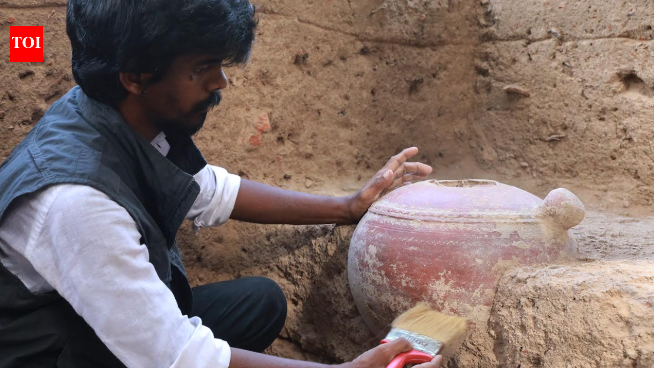 Keeladi phase 11 uncovers terracotta pipelines, unique pottery