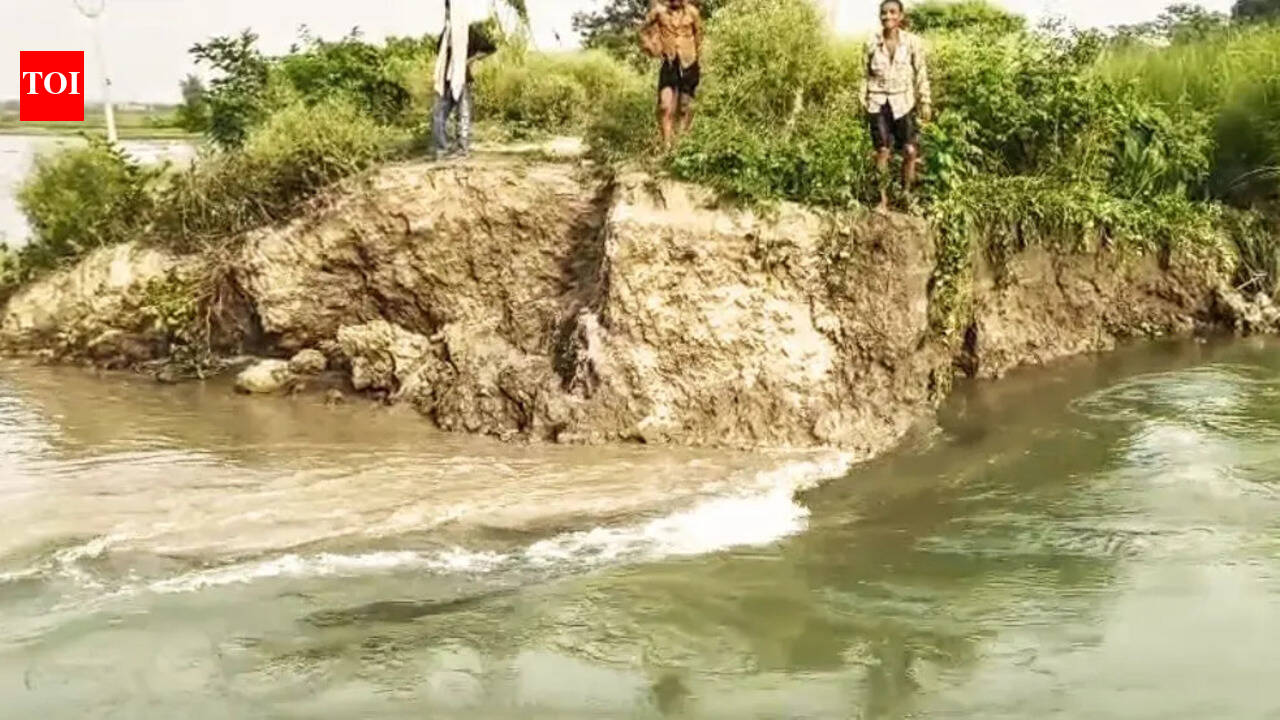 Gandak canal embankment breaches in Gopalganj after extra water release