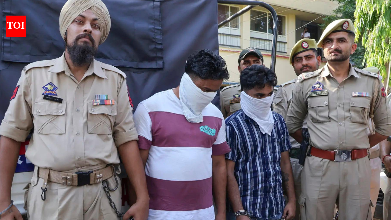 Jammu &amp; Kashmir police bust narco-terror nexus with Punjab links, arrest 20