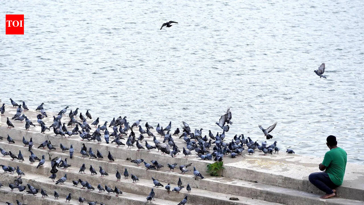 Raj launches wetland, wildlife sanctuary conservation plans