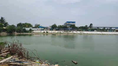 Youth drowns in lake while fleeing police