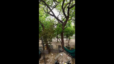 Police ‘adopt’ park in Sector 19, Noida amid rising safety concerns