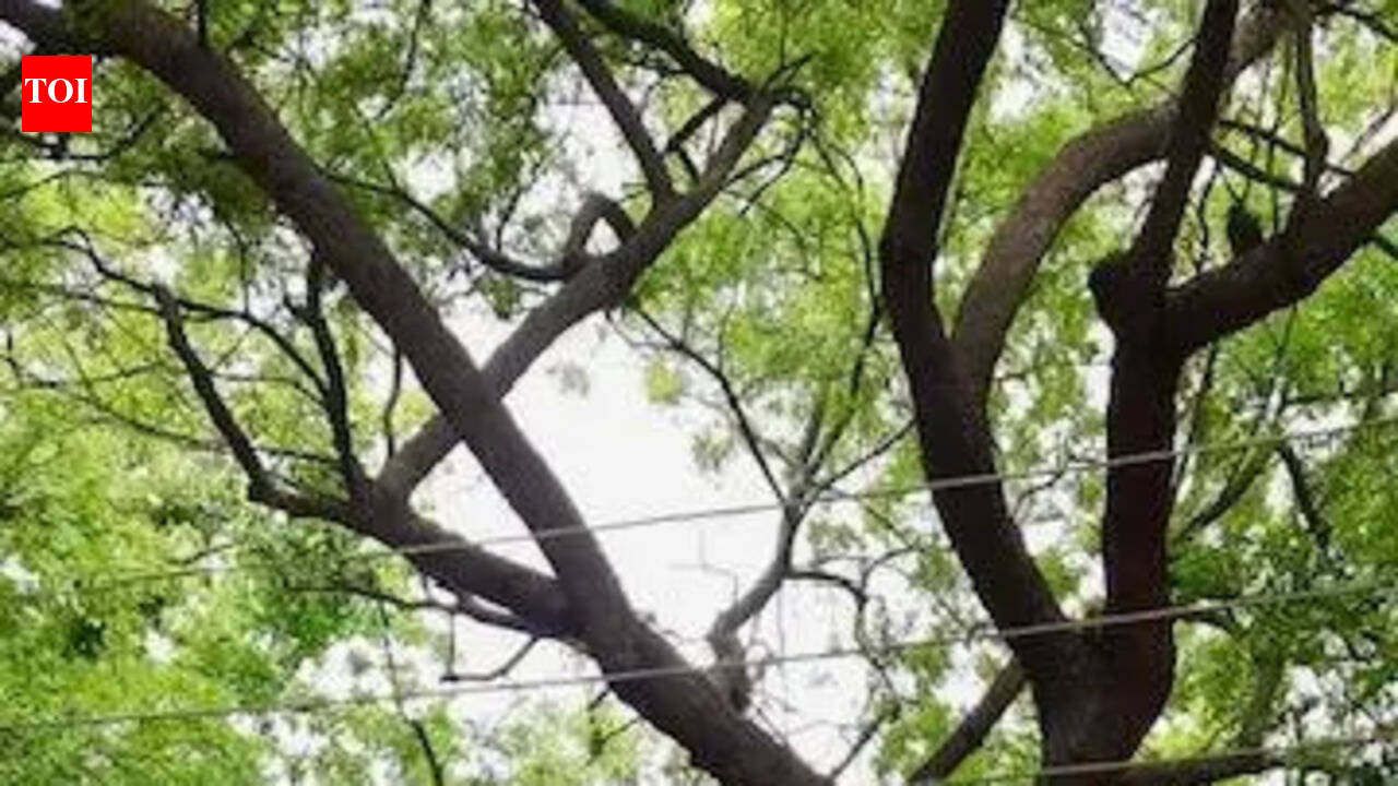 Police ‘adopt’ park in Sector 19, Noida amid rising safety concerns