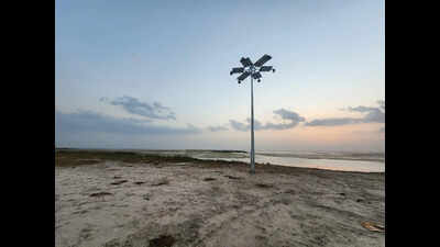 Too bright for birds? Floodlights at Nalsarovar spark fears for wildlife