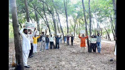 Environmentalists protest against proposed tree felling at Tapovan ...