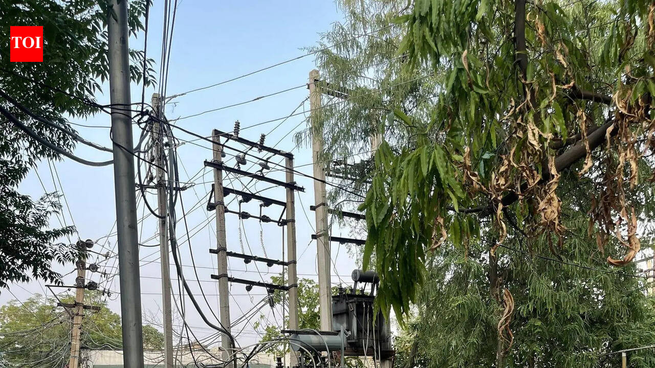 Transformers and tangled wires encroach on Ludhiana’s green spaces.