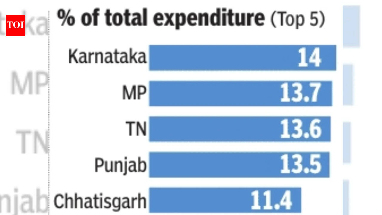 Subsidy spending triples in a decade, Karnataka, MP among biggest spenders: CAG report