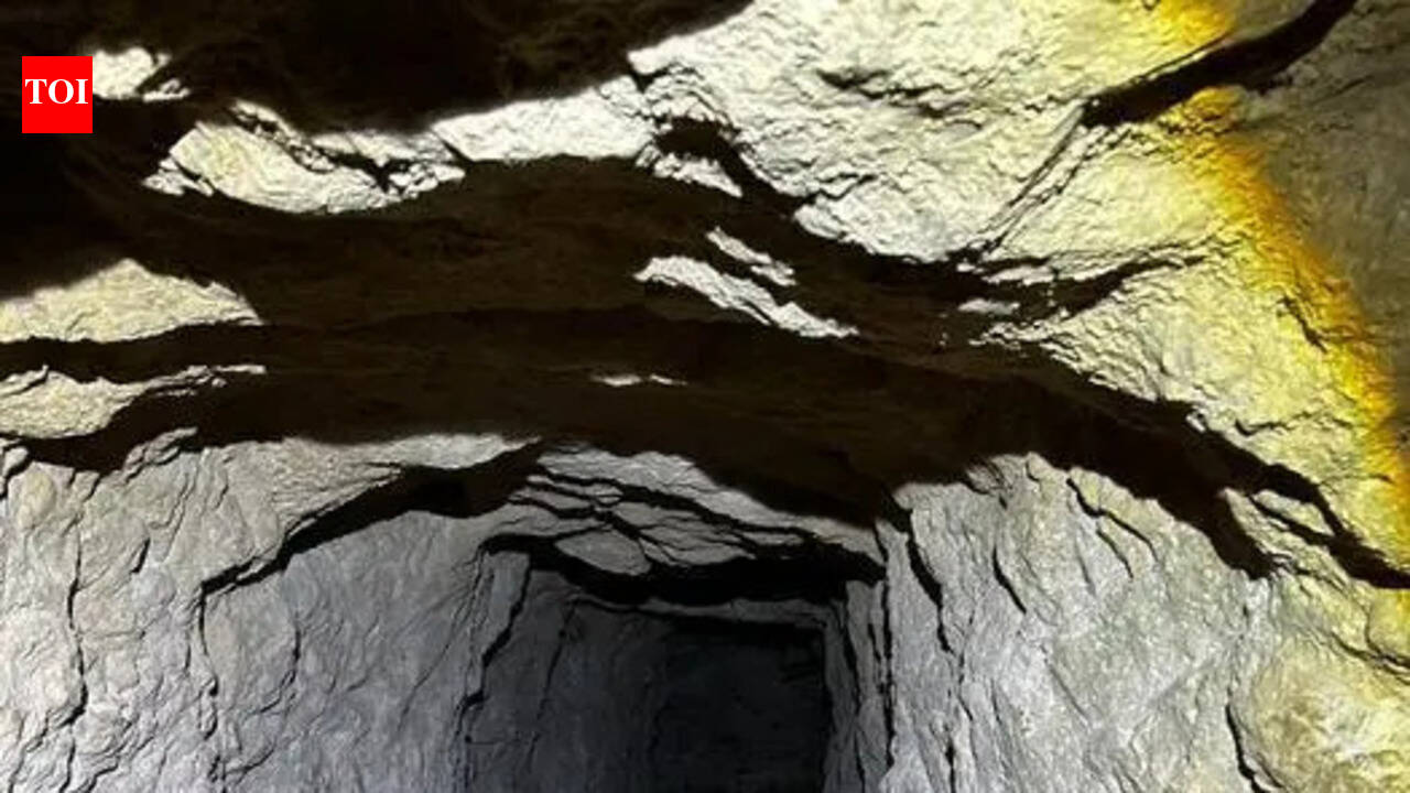 Researchers exploring a tunnel in Greece discovered a new cave cricket called Dolichopoda balrogi, showing that manmade passages can still hide unknown species