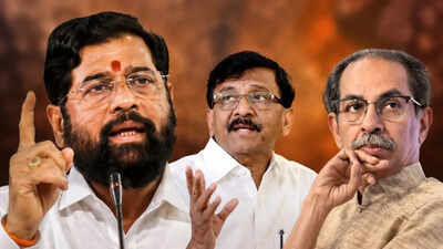 Rs 50 crore each? Meet 6 MPs who could decide the fate of Uddhav Thackeray's Shiv Sena