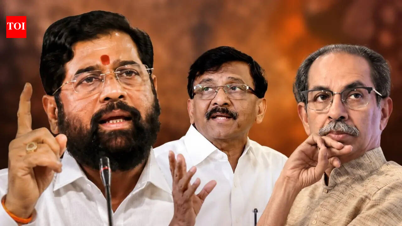 Rs 50 crore each? Meet 6 MPs who could decide the fate of Uddhav Thackeray's Shiv Sena