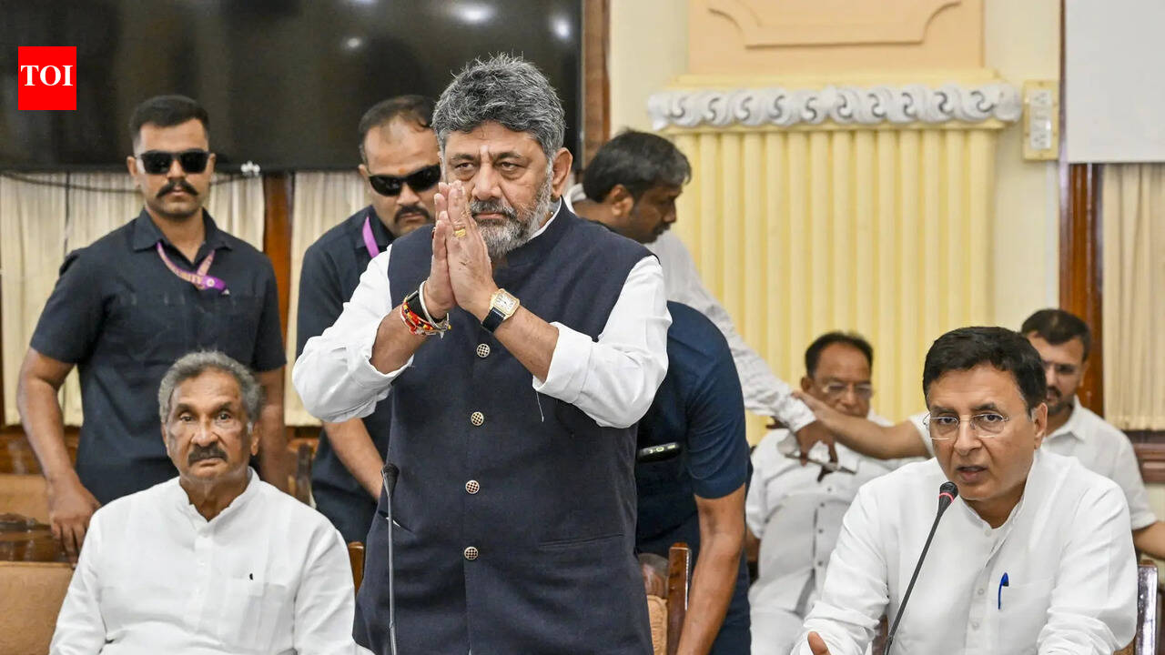 ‘उनके साथ बैठने और बात करने के लिए तैयार’: तमिलनाडु के साथ मेकेदातु बांध विवाद पर कर्नाटक के सीएम शिवकुमार | भारत समाचार