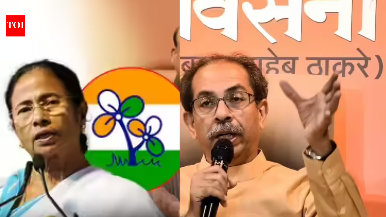Evening news wrap: TMC rebellion spills over to party accounts, Shiv Sena UBT's strength test falters; and more