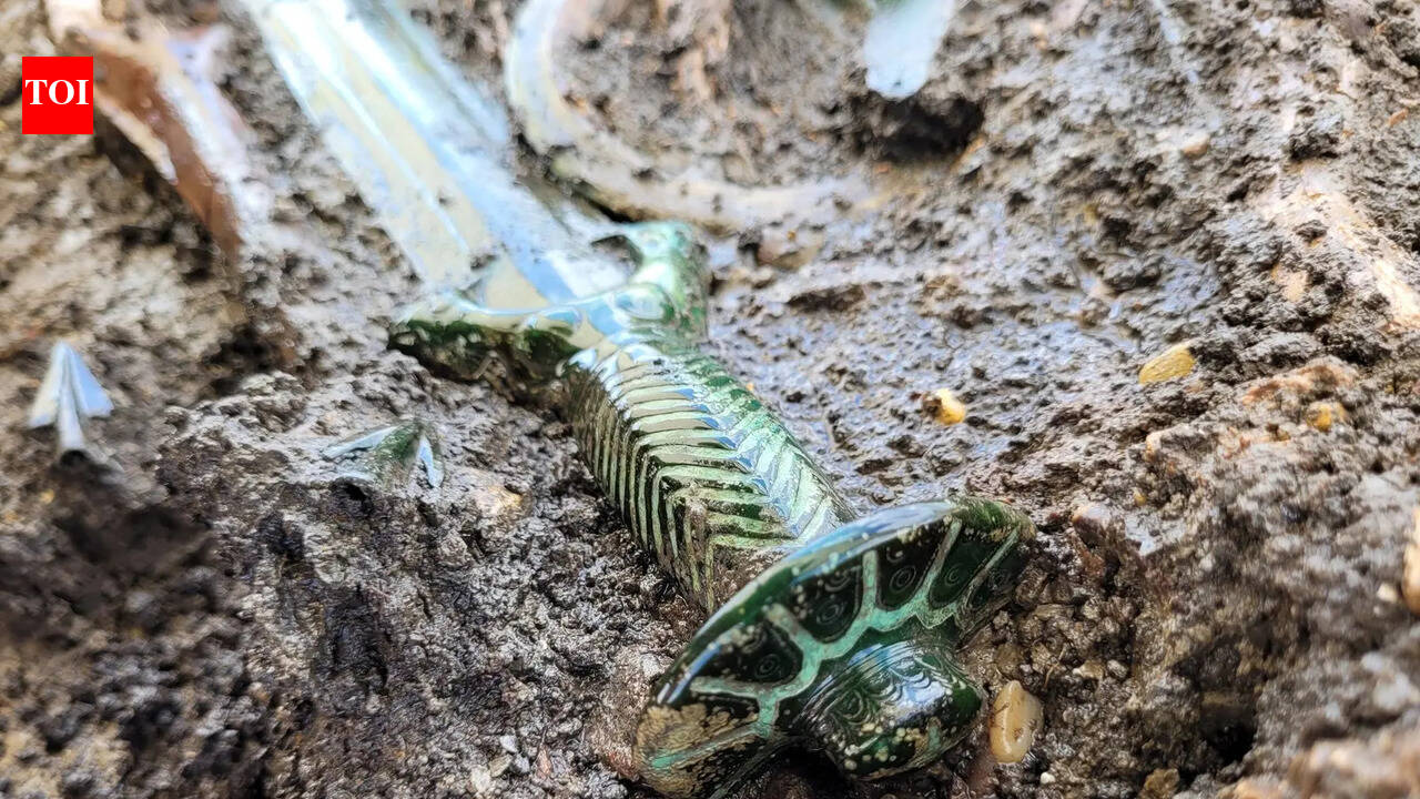 Scientists found a hidden Bronze Age sword deposit in Germany, and it revealed a carefully placed river offering