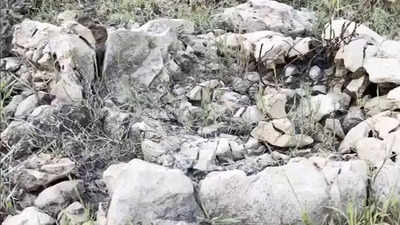15-million-years old shark fossils discovered by Odisha teacher and students on a random field visit, locals called them 'Asura Hadda'
