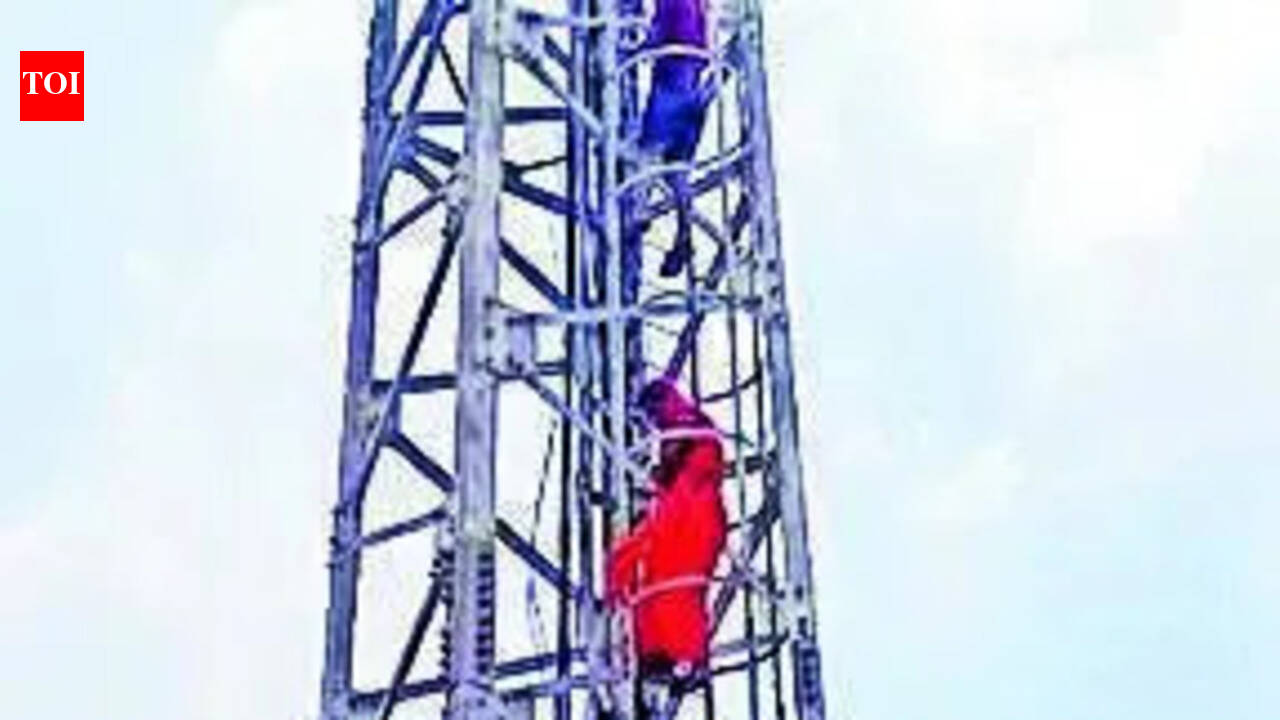 Woman’s 8-hr tower siege over ‘bigamy'
