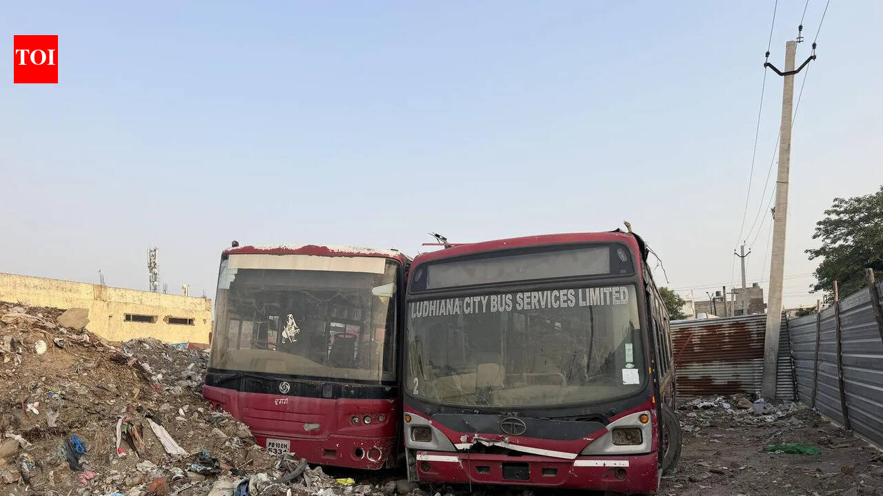 Court orders auction of all city buses in Ludhiana to settle contractual dispute.