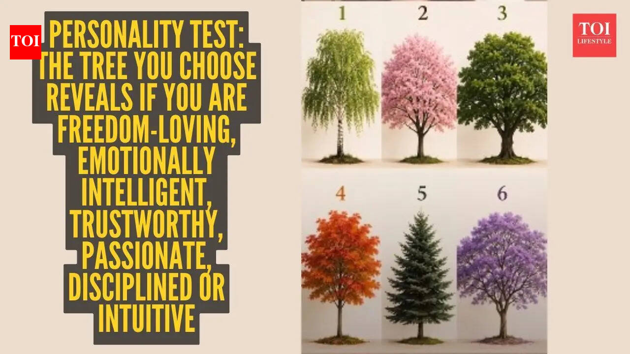 Personality test: The tree you choose reveals if you are freedom-loving ...