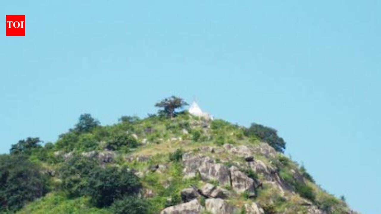 Govt plans green makeover of Gaya barren hills to boost eco-tourism