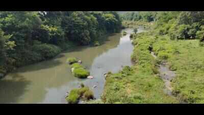 Kodagu farmers reel as weak monsoon delays crop cycle
