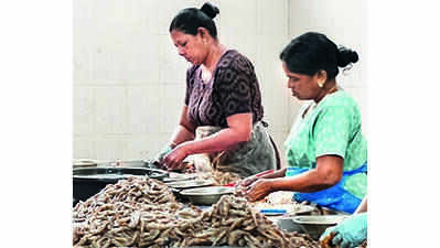 Aqua feed prices cut by Rs 4/kg after Naidu’s intervention