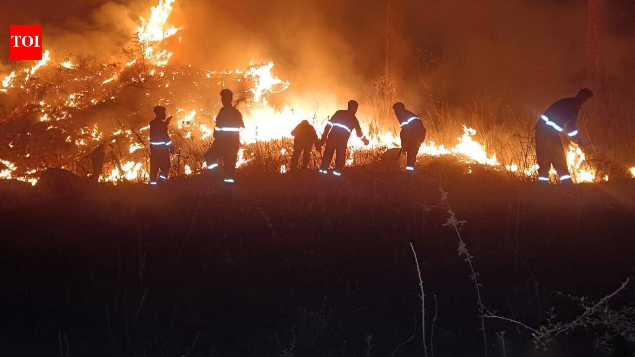 Forest guard dies in gorge fall after dousing forest fire