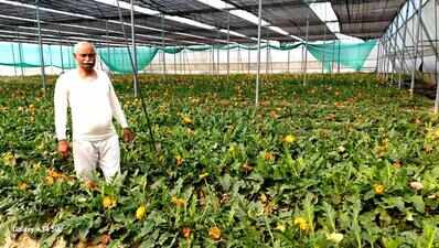 ‘Jai Jawan-Jai Kisan’ in action: Ex-army officer converts wasteland into flourishing farm