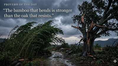 Proverb of the day: "The bamboo that bends is stronger than…": why flexibility often beats brute strength