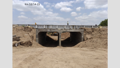 Railways complete first wildlife underpass for lions in Gir corridor
