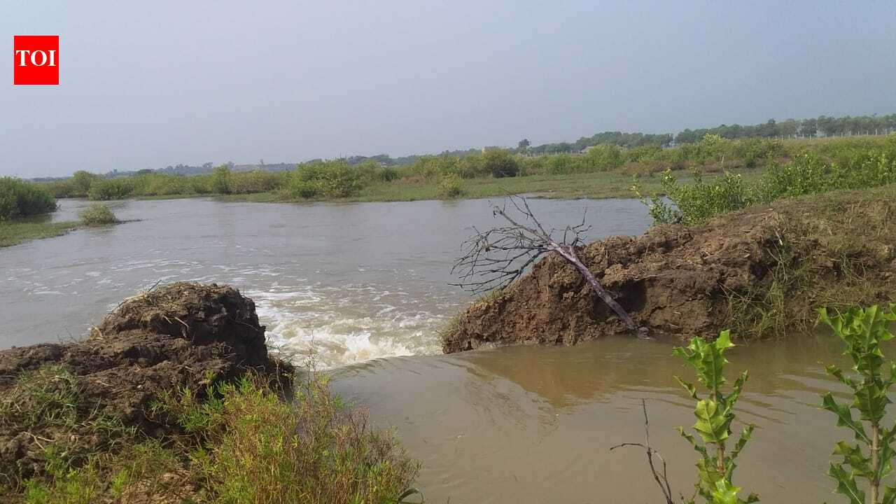 Tidal waves breach saline embankments, damage agri land