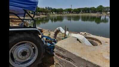 Key waterbody in Haryana faces ecological stress as study flags pollution & fish deaths
