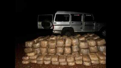 Eagle force seizes 500kg ganja in Odisha