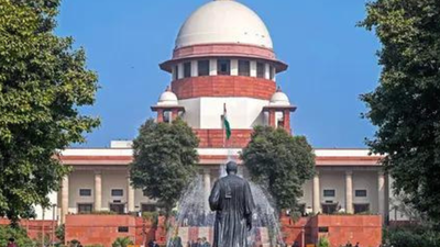 1 in 3 lawyers fake, Supreme Court to look at digital registry