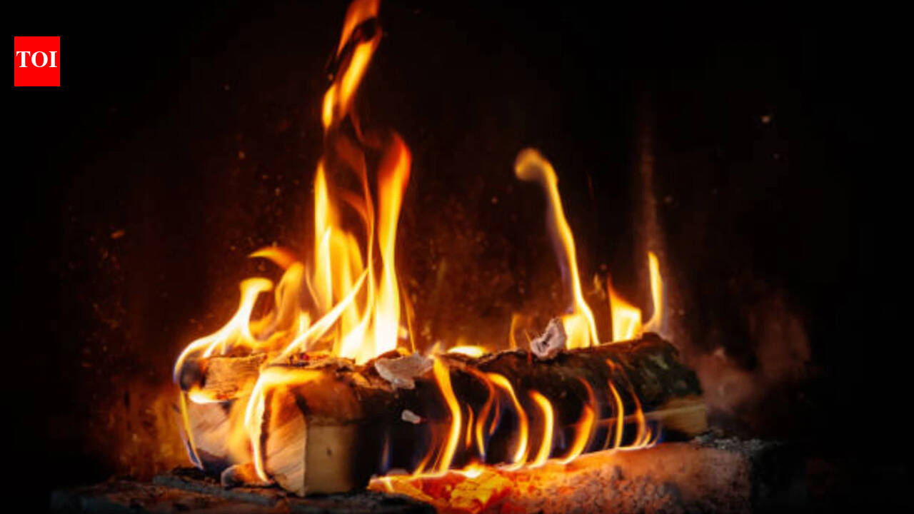 German proverb of the day: 'Crooked logs also make straight fires'