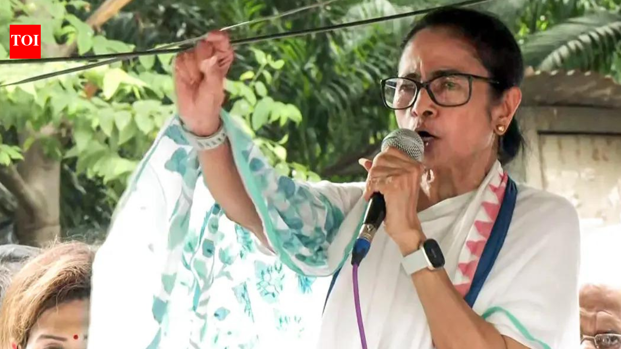 HDFC said to have put freeze on TMC account, Didi's faction denies it