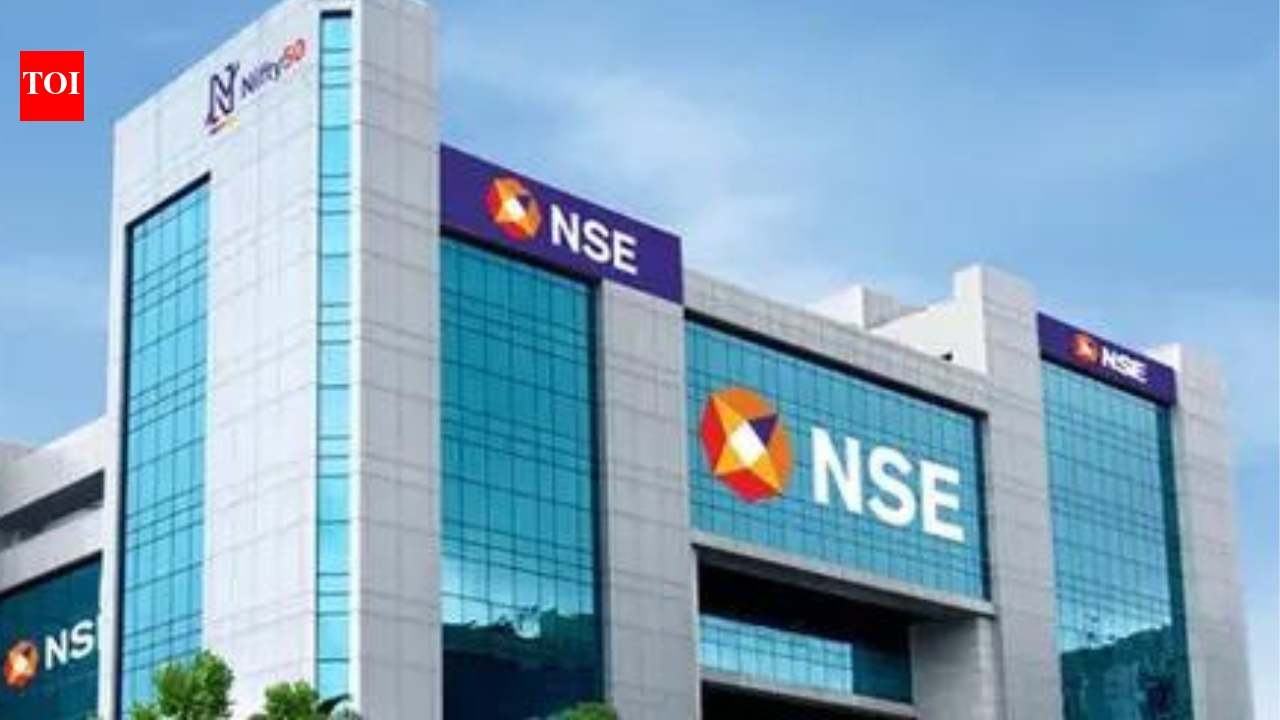 Individuals make up 47% of NSE owners