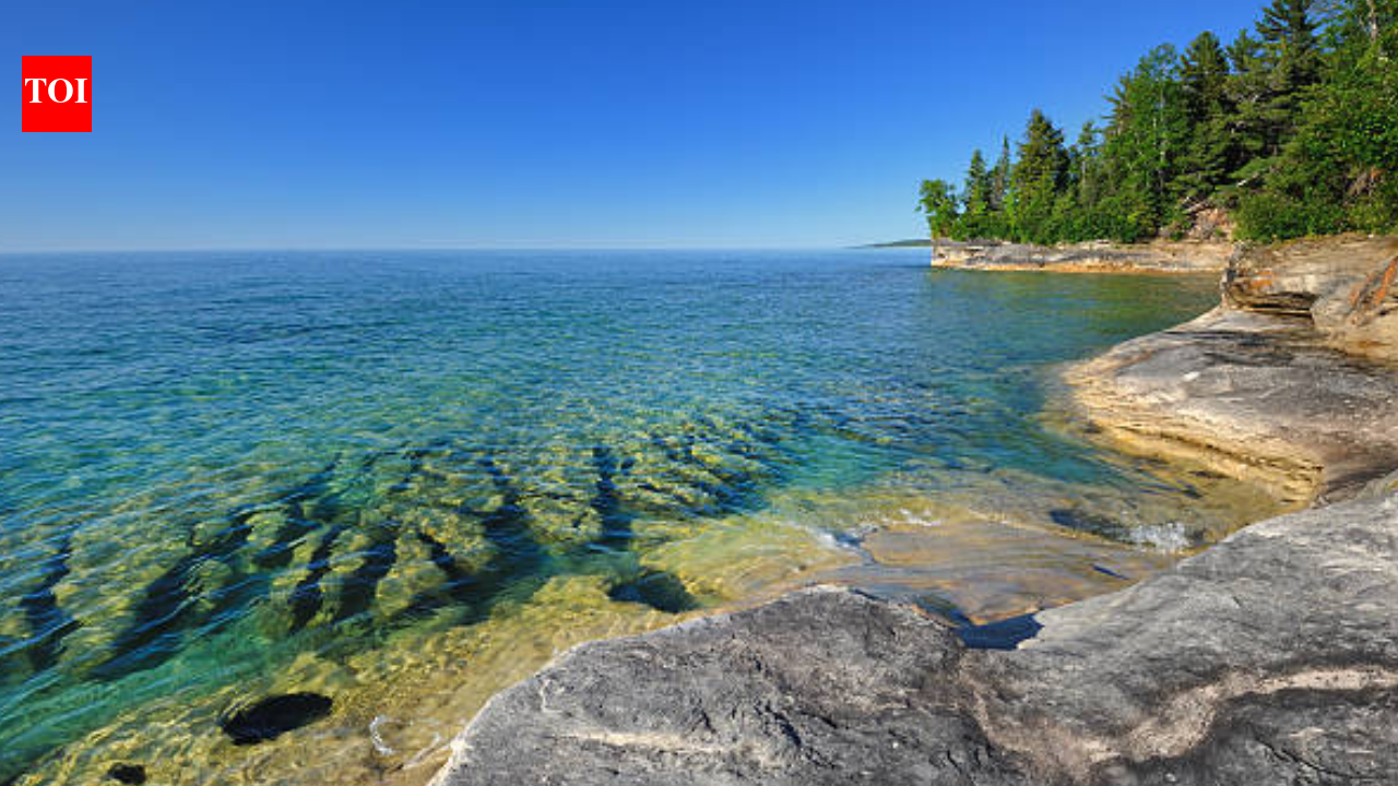 For 42 years, 'forever chemicals' have been quietly climbing the Great Lakes food chain