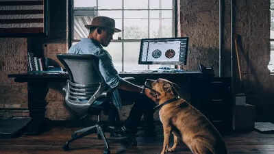 Scientists followed 188 dog and cat owners in the Netherlands and Belgium for five days, and found that everyday pet interactions lifted mood but did not show consistent evidence of buffering stress