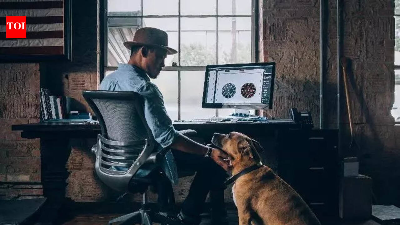 Scientists followed 188 dog and cat owners in the Netherlands and Belgium for five days, and found that everyday pet interactions lifted mood but did not show consistent evidence of buffering stress