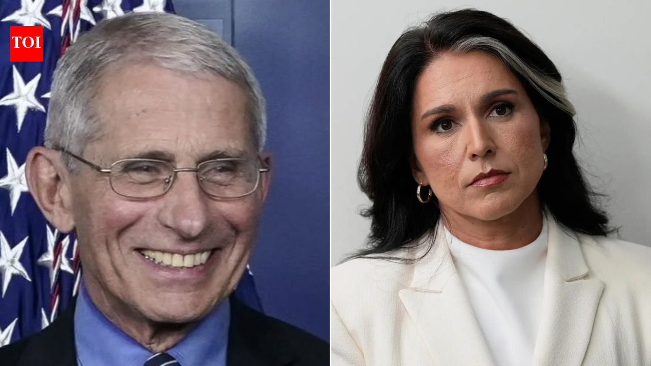 Biden aide funded Wuhan lab to 'manipulate' Covid-19 assessments? Tulsi Gabbard's 'explosive' claim