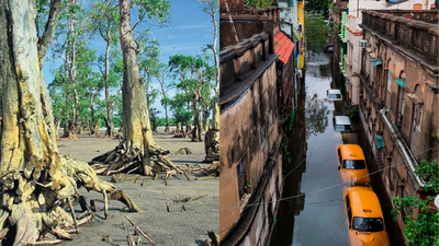 Hotter days, warmer nights, heavier rain; Kolkata's climate set for sharp shift by 2040