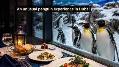  The unusual travel experience you didn’t know existed in Dubai