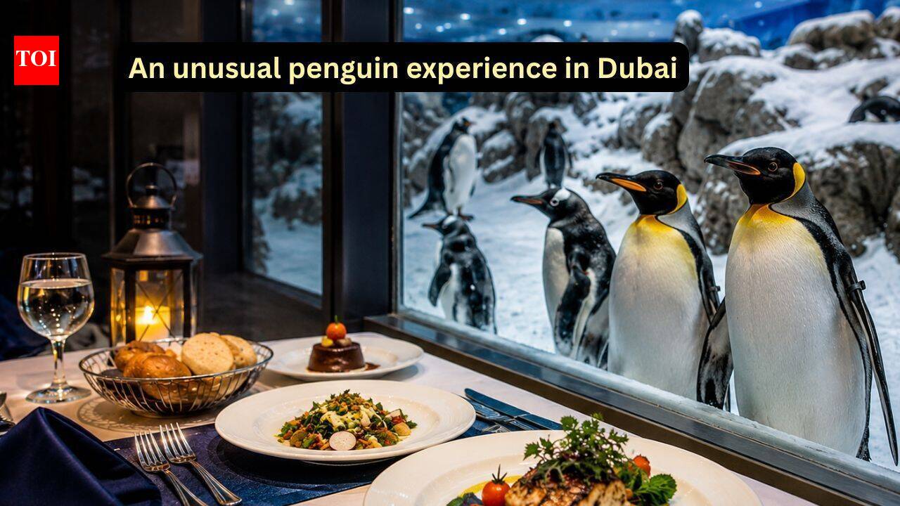 A meal with penguins amid snow: The unusual travel experience you didn’t know existed in Dubai
