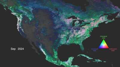 NASA’s PACE satellite can now track autumn colours from space by monitoring pigments inside leaves